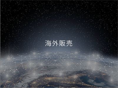 外洋販売