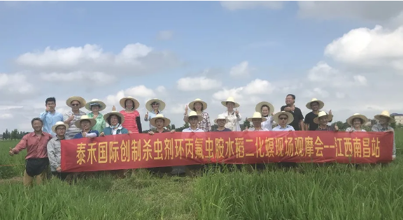 水稻二化螟为害肆意放纵 环丙氟虫胺脱手技惊四座 ——立异杀虫剂环丙氟虫胺水稻二化螟药效田试年内首秀